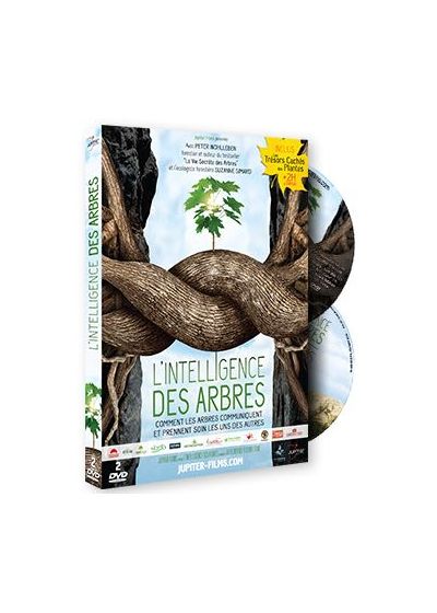 L'Intelligence des arbres - DVD