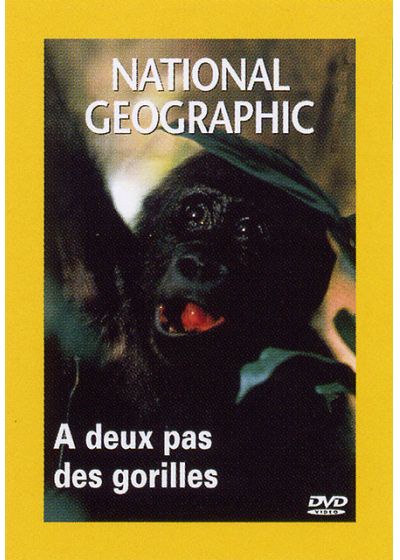 National Geographic - A deux pas des gorilles - DVD