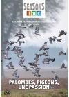 Paombes, pigeons : une passion - DVD