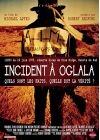 Incident à Oglala - DVD