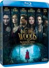 Into the Woods : Promenons-nous dans les bois - Blu-ray