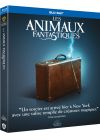 Les Animaux fantastiques - Blu-ray