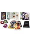 Fairy Tail - Intégrale Partie 2 (Édition Collector Limitée A4) - DVD