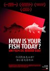 How Is Your Fish Today? - DVD