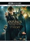Les Animaux fantastiques + Les Crimes de Grindelwald + Les Secrets de Dumbledore (4K Ultra HD + Blu-ray) - 4K UHD