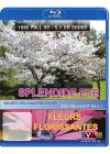 Splendide été - Fleurs florissantes - Blu-ray