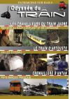 Odyssée du train 2 : Jaune Artouste - Pays Basque - DVD