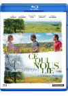 Ce qui nous lie - Blu-ray