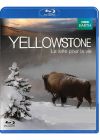 Yellowstone, la lutte pour la vie - Blu-ray