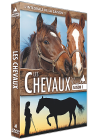 Les Chevaux - Saison 1 - DVD