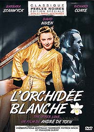 L'orchidée blanche