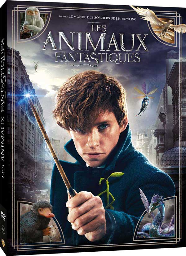 Les Animaux Fantastiques - DVD