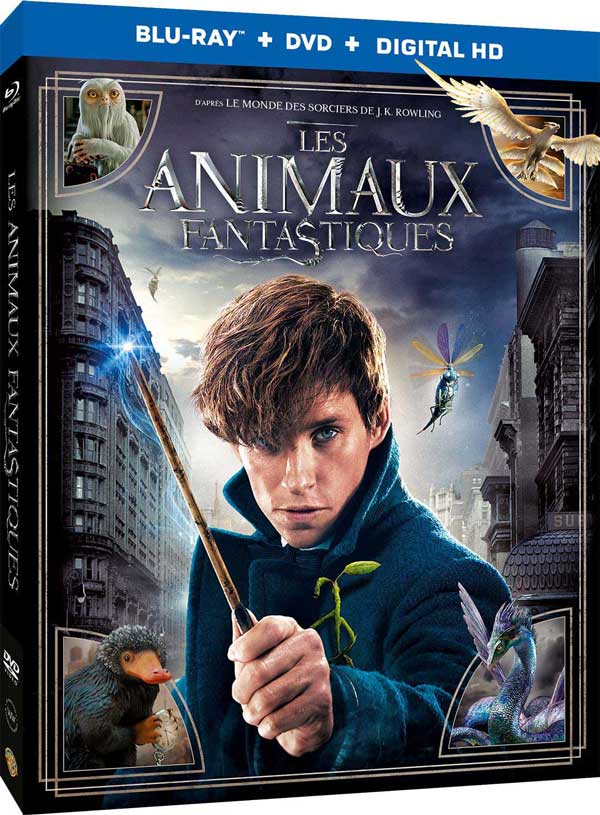 Les Animaux Fantastiques - Blu-ray + DVD + Digital HD