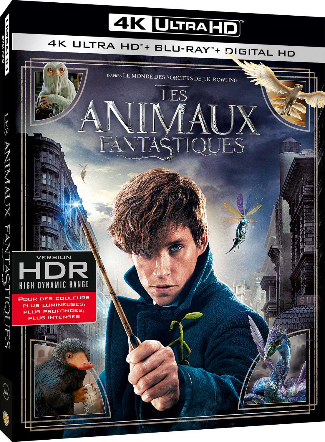 Dvdfr Les Animaux Fantastiques 4k Ultra Hd Blu Ray