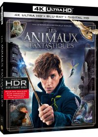 Les Animaux fantastiques (4K Ultra HD + Blu-ray + Digital HD) - 4K UHD