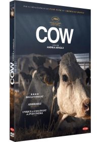 Cow - DVD