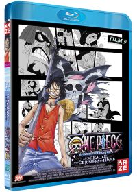 One Piece - Le Film 9 : Episode de Chopper : Le miracle des Cerisiers en Hiver - Blu-ray