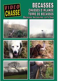 Bécasse : Chasses d'Irlande, terre de bécasses - DVD