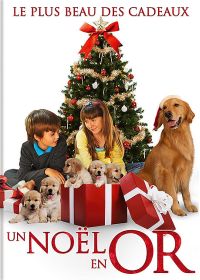 Un Noël en or - DVD