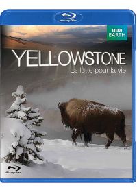 Yellowstone, la lutte pour la vie - Blu-ray