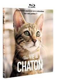 Une vie de chaton - Blu-ray