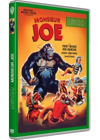 Monsieur Joe - DVD