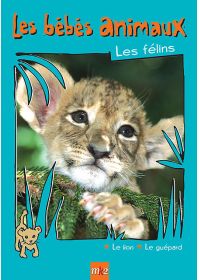 Les Bébés animaux - Les félins - DVD