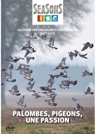 Paombes, pigeons : une passion - DVD