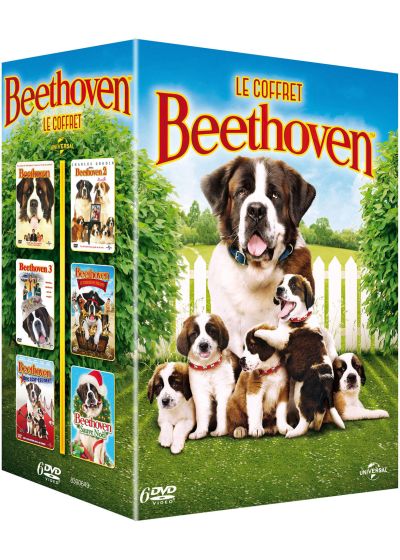 Le Coffret Beethoven (Pack) - DVD