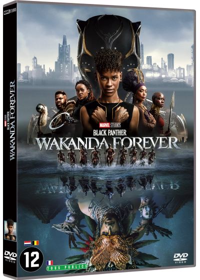 <a href="/node/54844">Black Panther : Wakanda Forever</a>