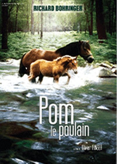 Pom, le poulain - DVD