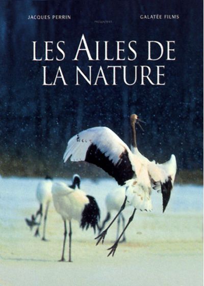 Les Ailes de la nature (Édition Collector Numérotée) - DVD