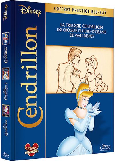 Cendrillon 2 - Une vie de princesse [DVD à la location]