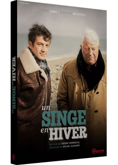 Un Singe en hiver - DVD