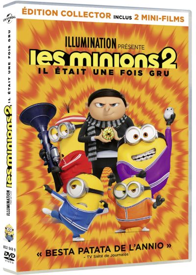 Les Minions 2 : Il était une fois Gru - DVD