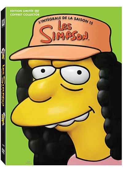 Les Simpson - L'intégrale de la saison 15 (Coffret Collector - Édition limitée) - DVD