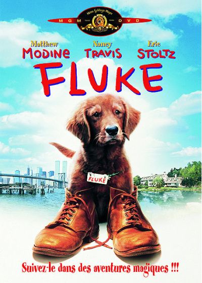 Fluke - DVD