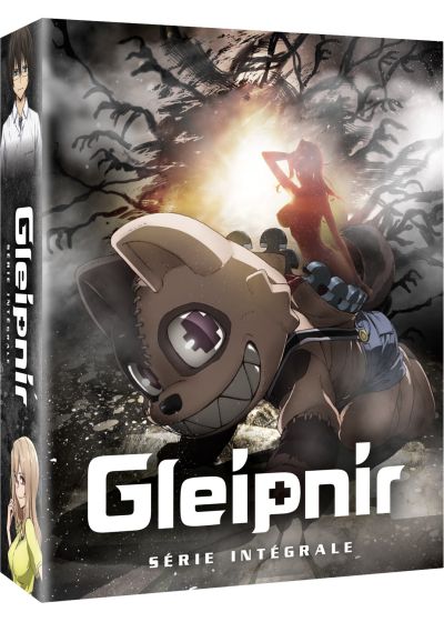 Gleipnir - Série intégrale - Blu-ray