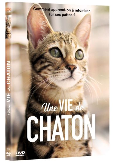 Une vie de chaton - DVD