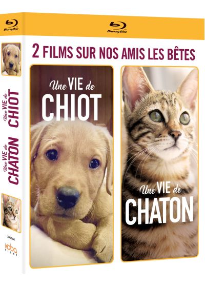2 films sur nos amis les bêtes : Une vie de chiot + Une vie de chaton (Pack) - Blu-ray