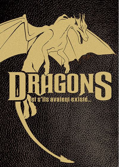 Dragons, et s'ils avaient existé... - DVD