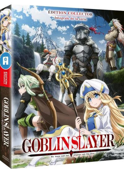Goblin Slayer - Intégrale saison 1 (Édition Collector) - DVD