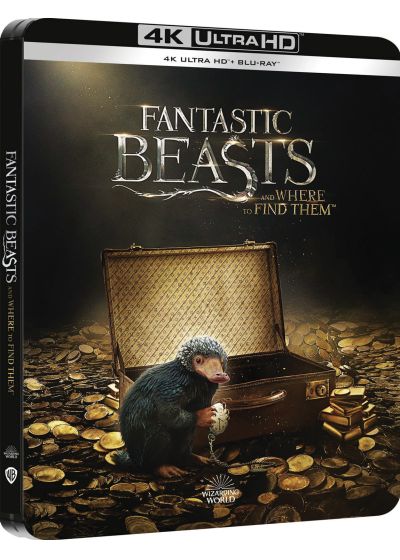 Les Animaux fantastiques (Édition Limitée SteelBook 4K Ultra HD + Blu-ray) - 4K UHD