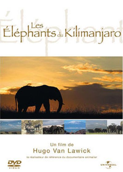 Les Éléphants du Kilimanjaro - DVD