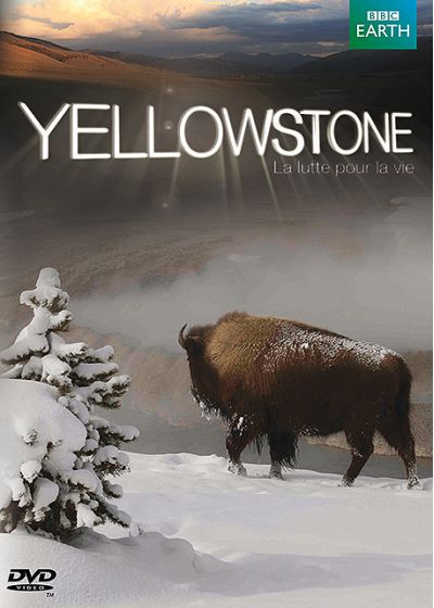 Yellowstone, la lutte pour la vie - DVD