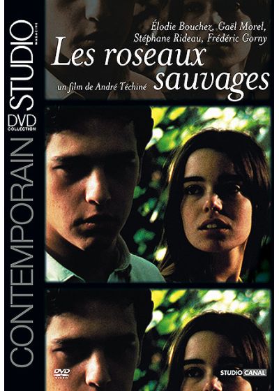 Les Roseaux sauvages - DVD