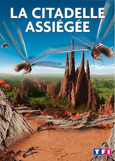 La Citadelle assiégée - DVD