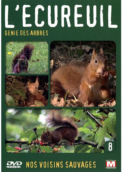 Nos voisins sauvages Vol. 8 - L'écureuil : Génie des arbres - DVD