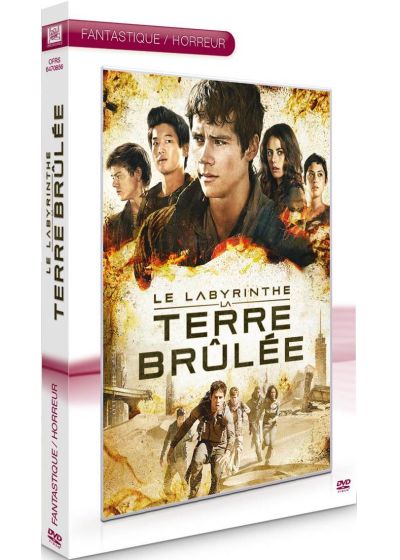 Le Labyrinthe : La Terre Brûlée (DVD + Digital HD) - DVD