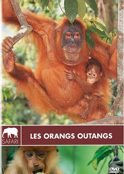 Les Orangs Outangs - DVD